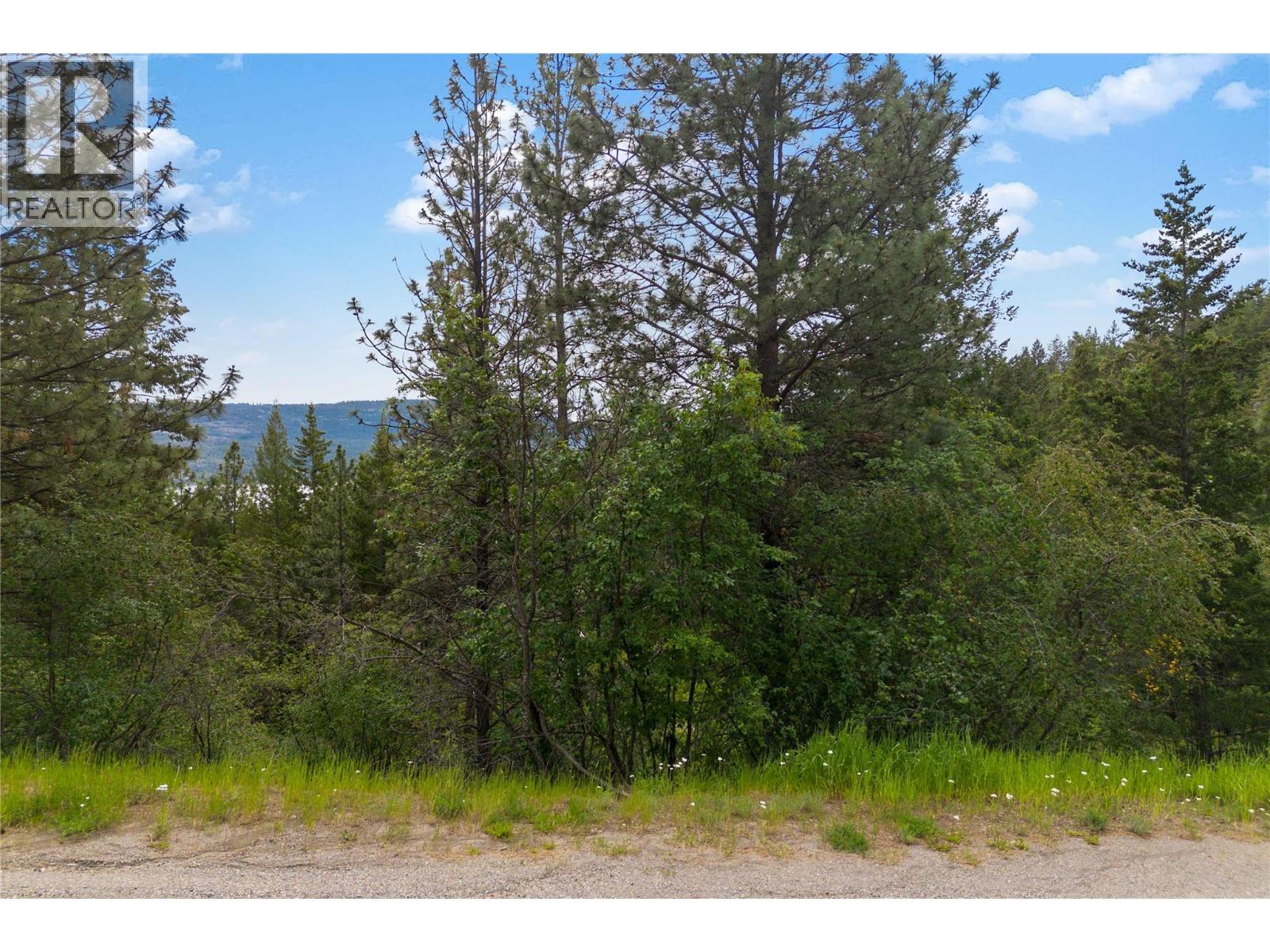 10745 Westshore Road, Vernon, British Columbia  V1H 2C2 - Photo 2 - 10392948
