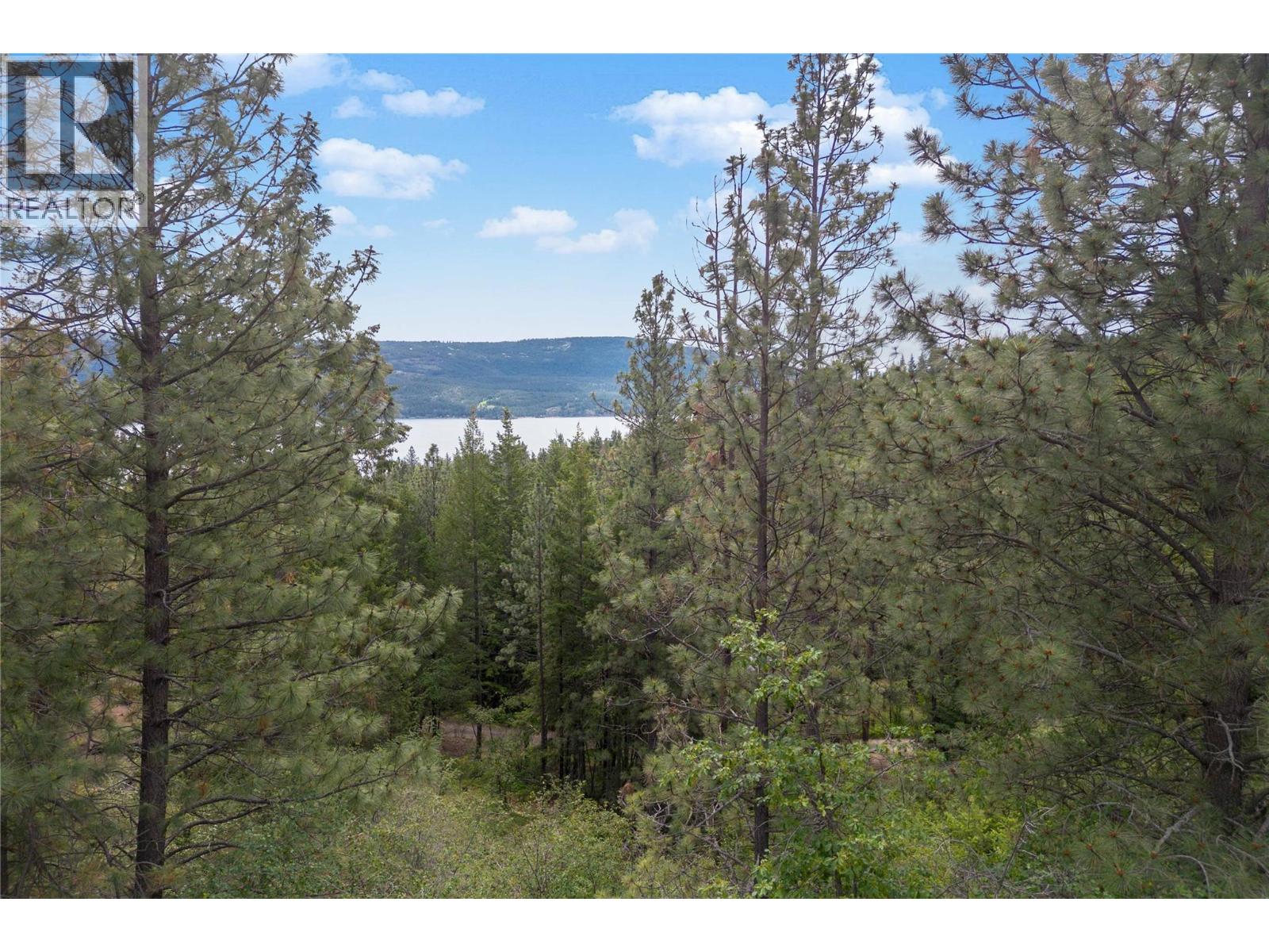 10745 Westshore Road, Vernon, British Columbia  V1H 2C2 - Photo 4 - 10392948