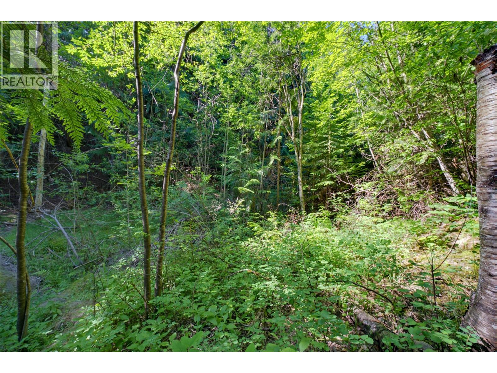 Glengarry Place Lot# 17, Blind Bay, British Columbia  V0E 1H2 - Photo 22 - 10392950