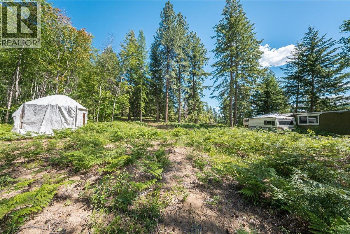 1385 Pass Creek Road, Castlegar, British Columbia  V1N 4S2 - Photo 13 - 10393109