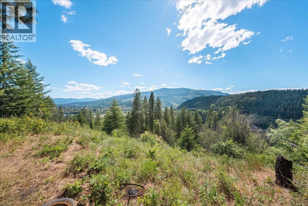 1385 Pass Creek Road, Castlegar, British Columbia  V1N 4S2 - Photo 17 - 10393109