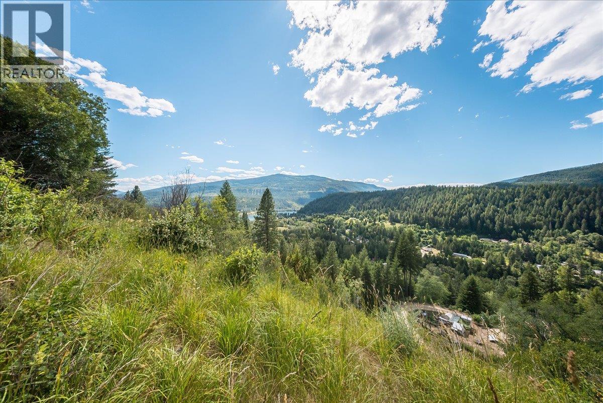 1385 Pass Creek Road, Castlegar, British Columbia  V1N 4S2 - Photo 18 - 10393109