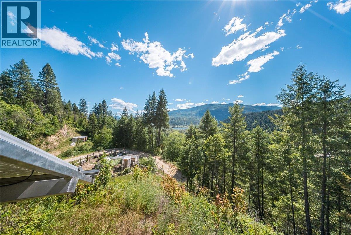 1385 Pass Creek Road, Castlegar, British Columbia  V1N 4S2 - Photo 29 - 10393109