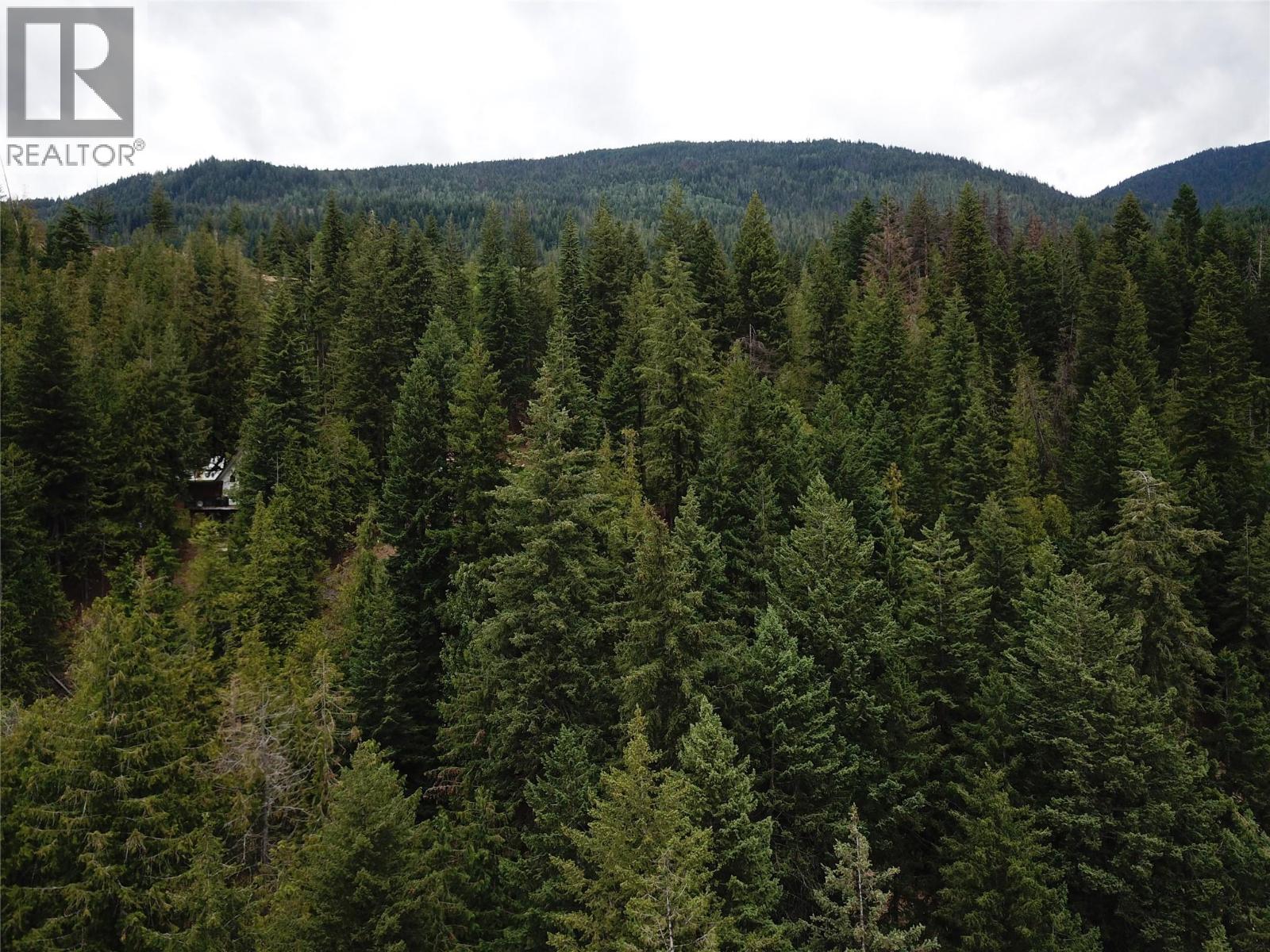 Copper Island Drive, Vickers Trail Lot# 39, 38, Anglemont, British Columbia  V0E 1M8 - Photo 11 - 10392911
