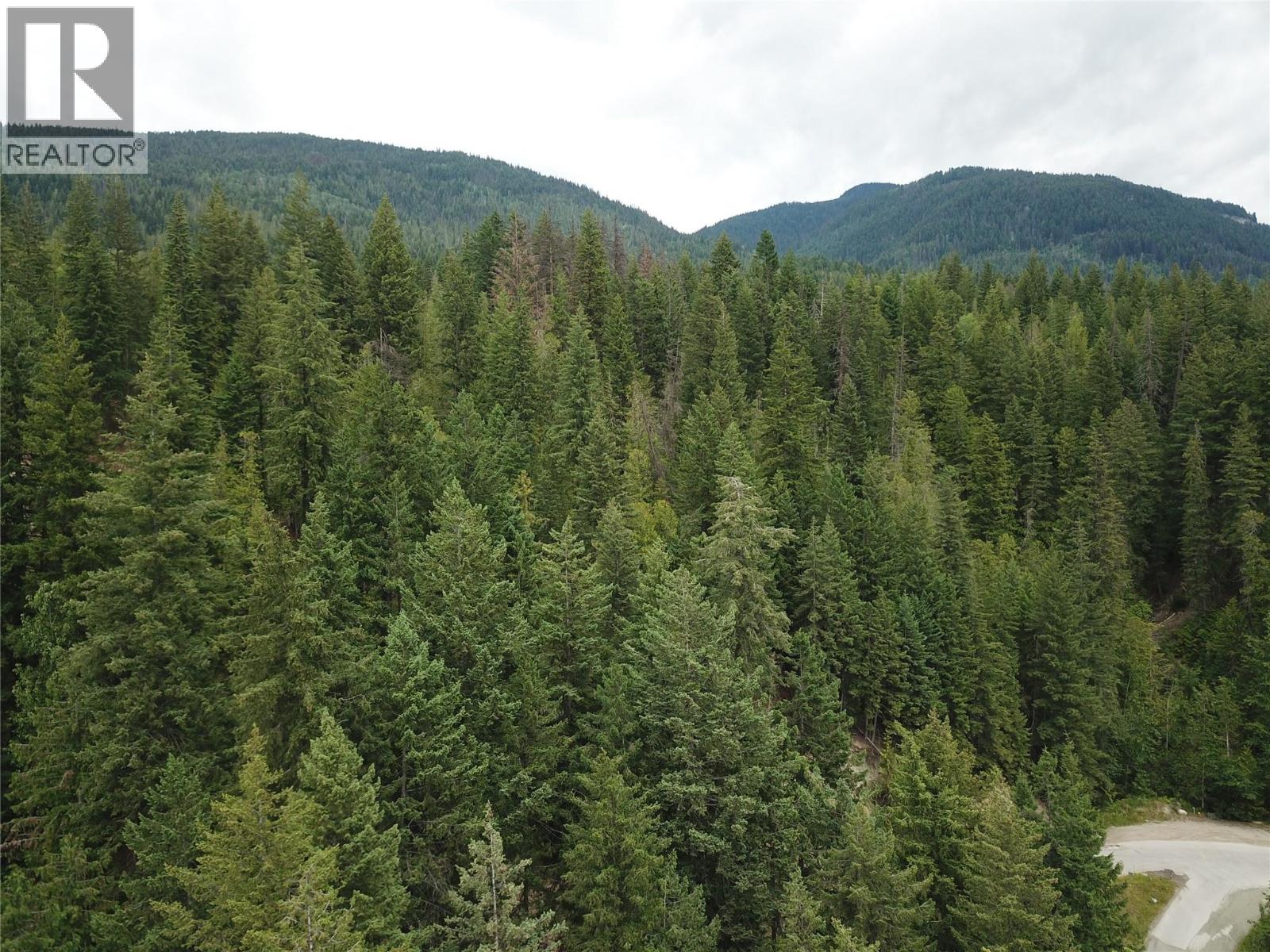 Copper Island Drive, Vickers Trail Lot# 39, 38, Anglemont, British Columbia  V0E 1M8 - Photo 12 - 10392911