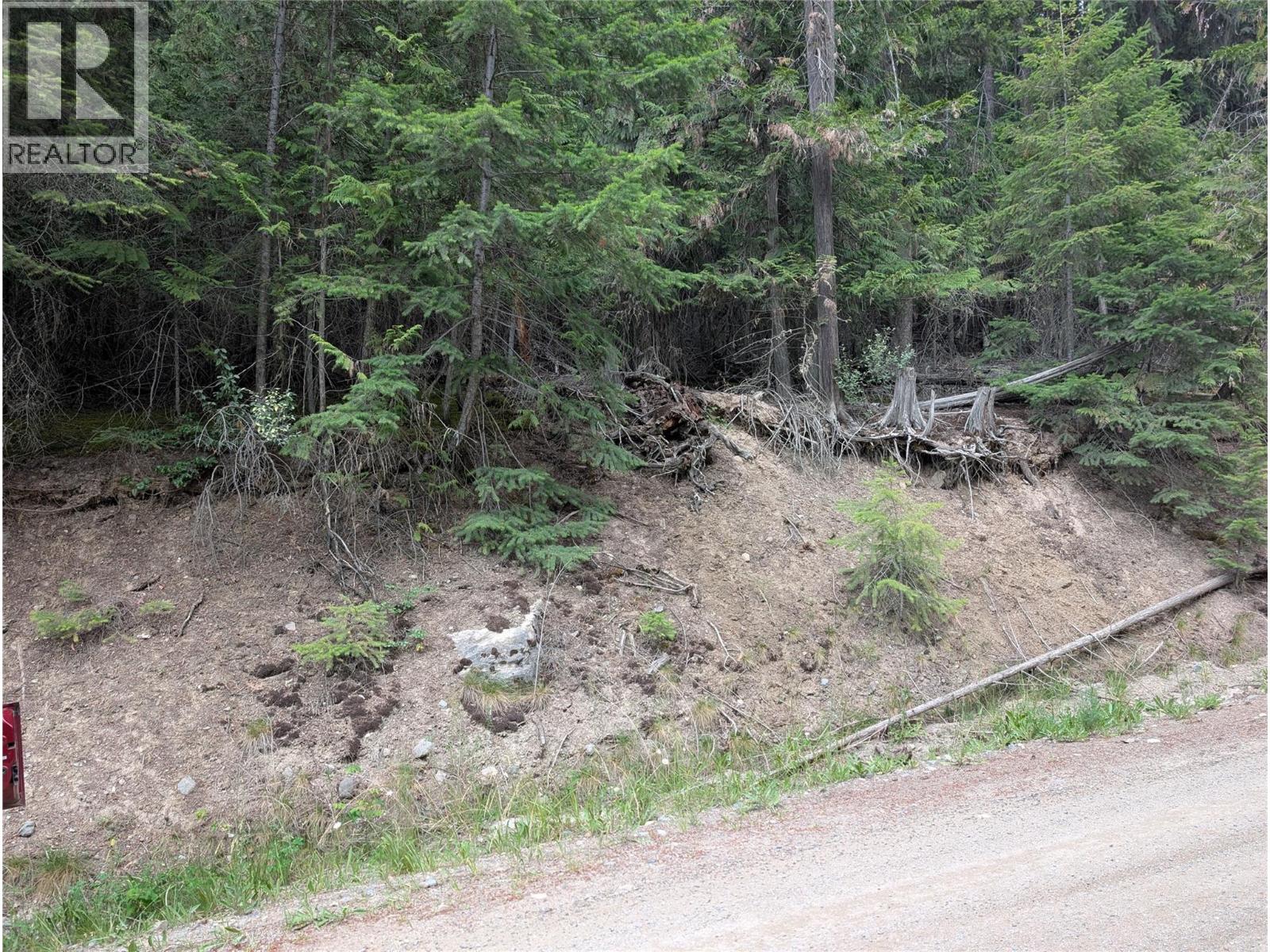 Copper Island Drive, Vickers Trail Lot# 39, 38, Anglemont, British Columbia  V0E 1M8 - Photo 5 - 10392911