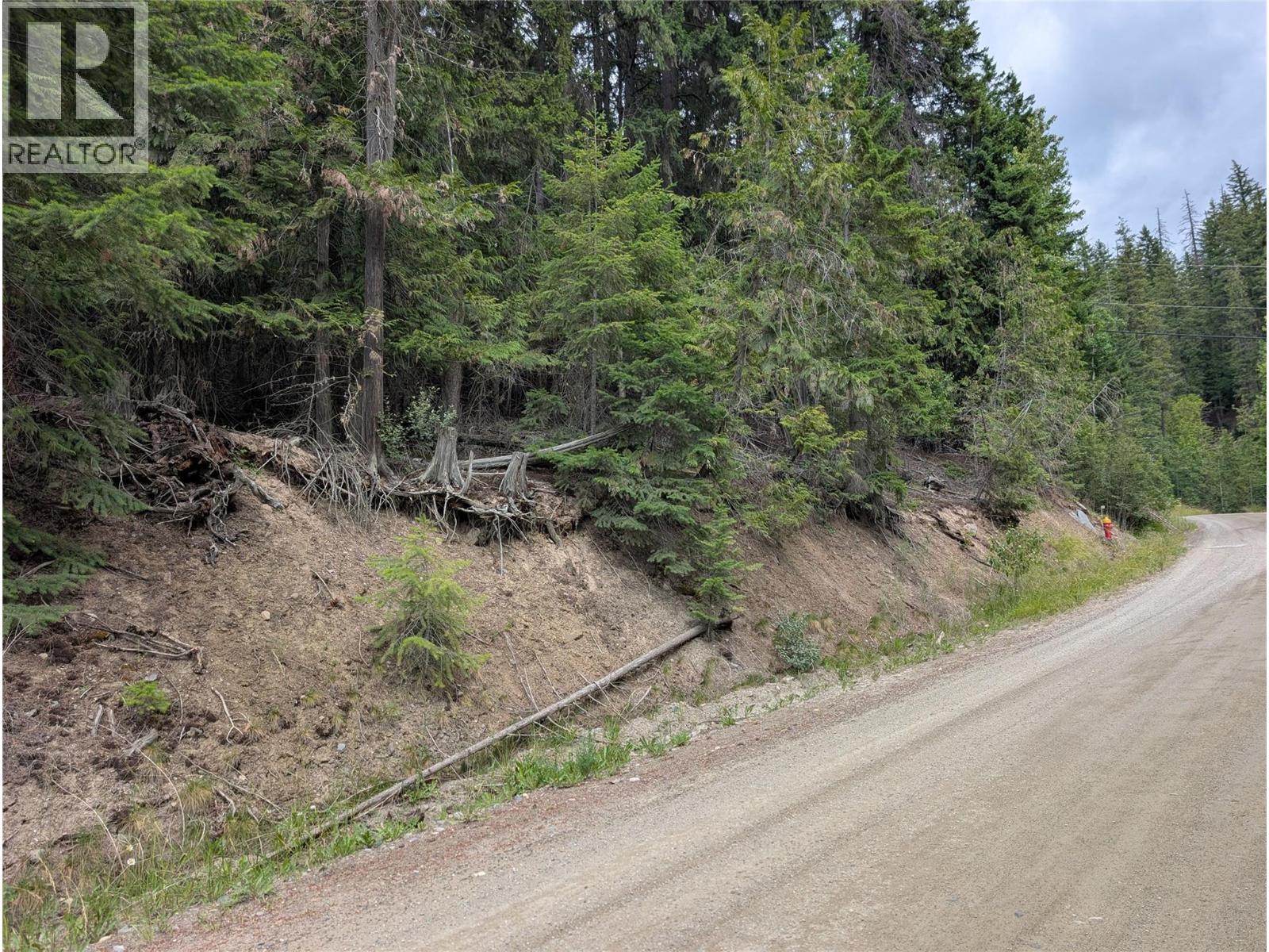 Copper Island Drive, Vickers Trail Lot# 39, 38, Anglemont, British Columbia  V0E 1M8 - Photo 6 - 10392911