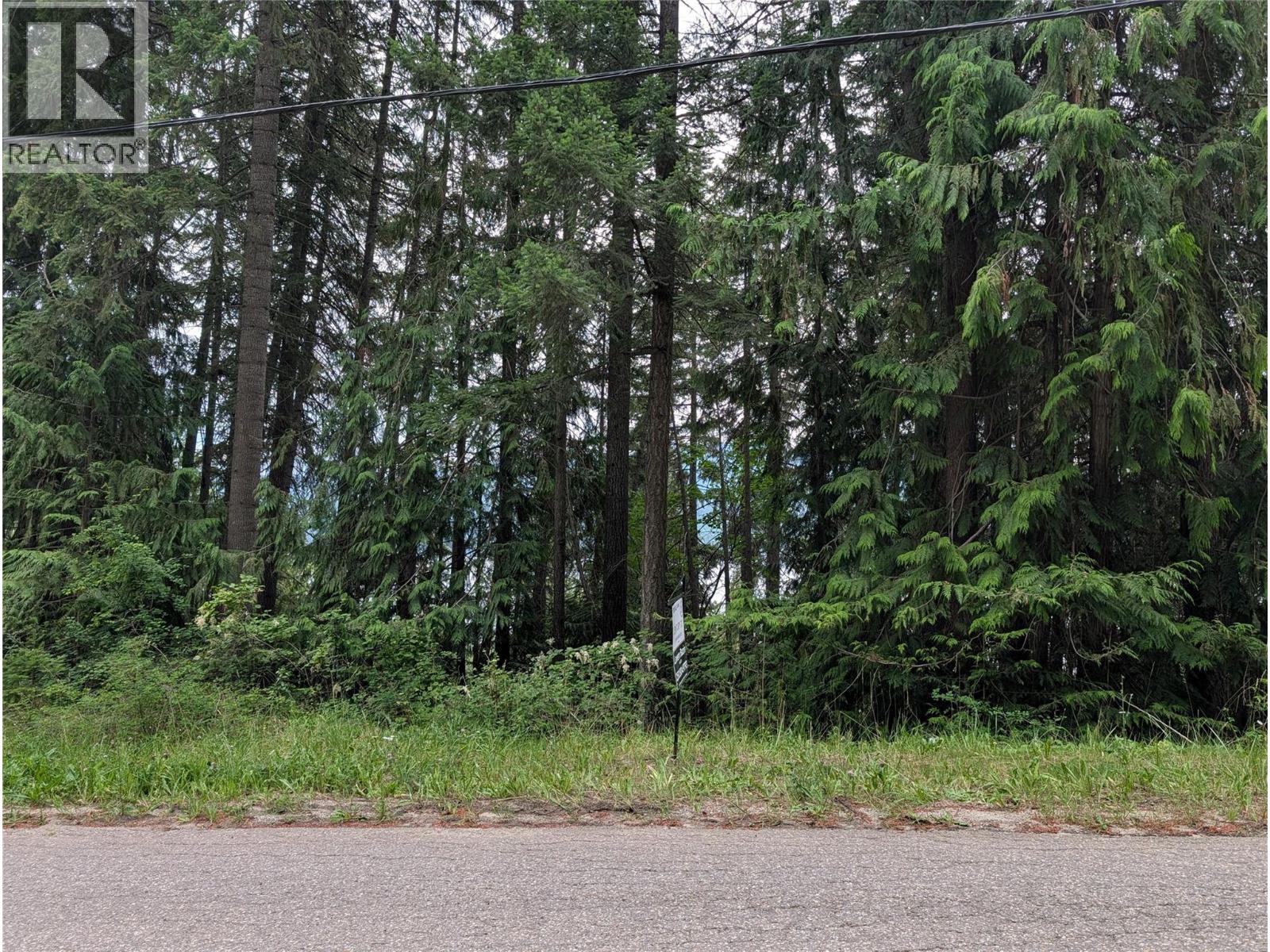 Copper Island Drive, Vickers Trail Lot# 39, 38, Anglemont, British Columbia  V0E 1M8 - Photo 7 - 10392911