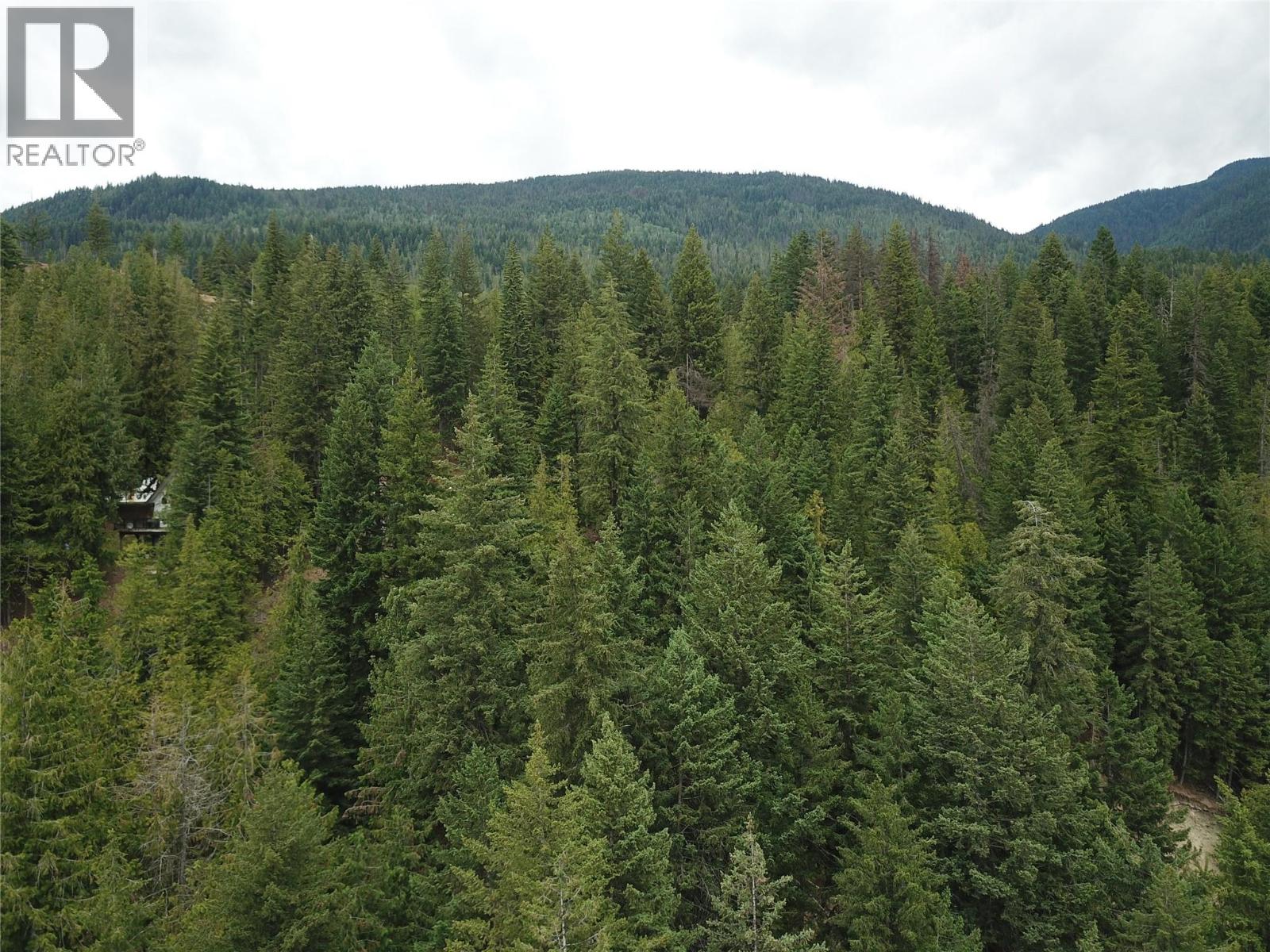 Copper Island Drive, Vickers Trail Lot# 39, 38, Anglemont, British Columbia  V0E 1M8 - Photo 8 - 10392911