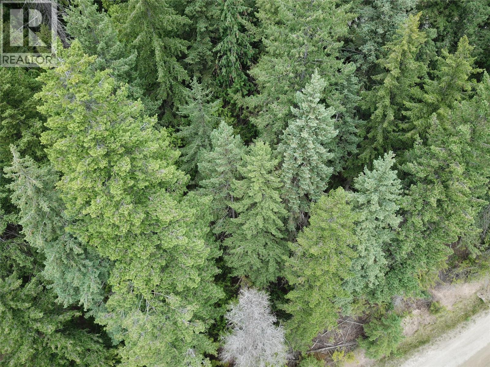 Copper Island Drive, Vickers Trail Lot# 39, 38, Anglemont, British Columbia  V0E 1M8 - Photo 9 - 10392911