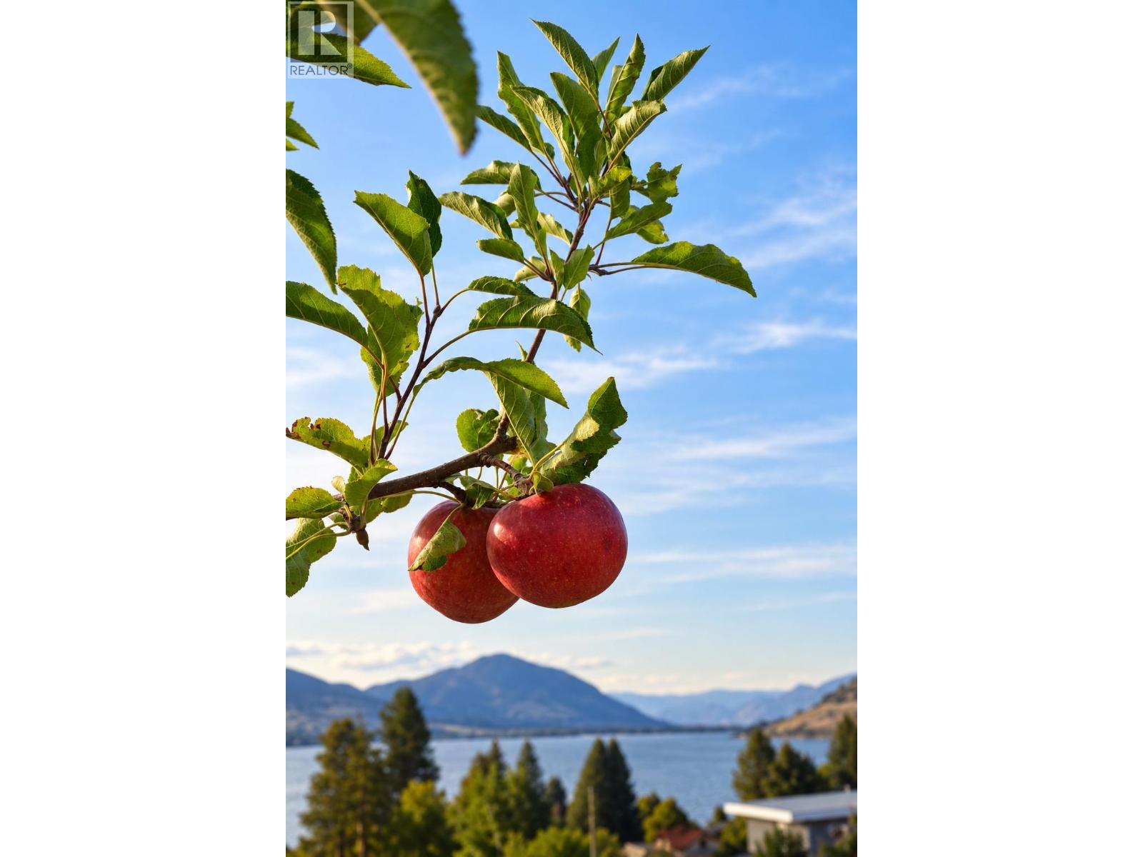 319 Carmel Crescent, Okanagan Falls, British Columbia  V2A 1R5 - Photo 42 - 10392518