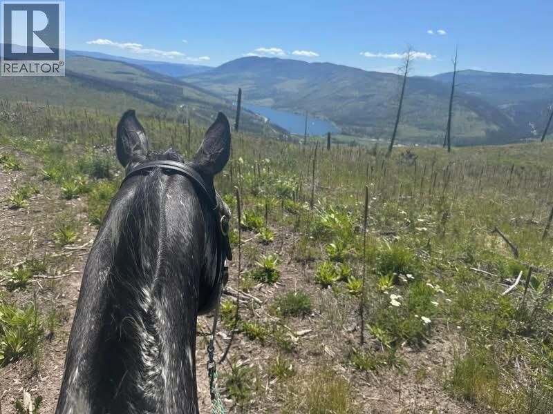 4205 Kristianson Road, Monte Lake, British Columbia  V0E 2N0 - Photo 12 - 10393273