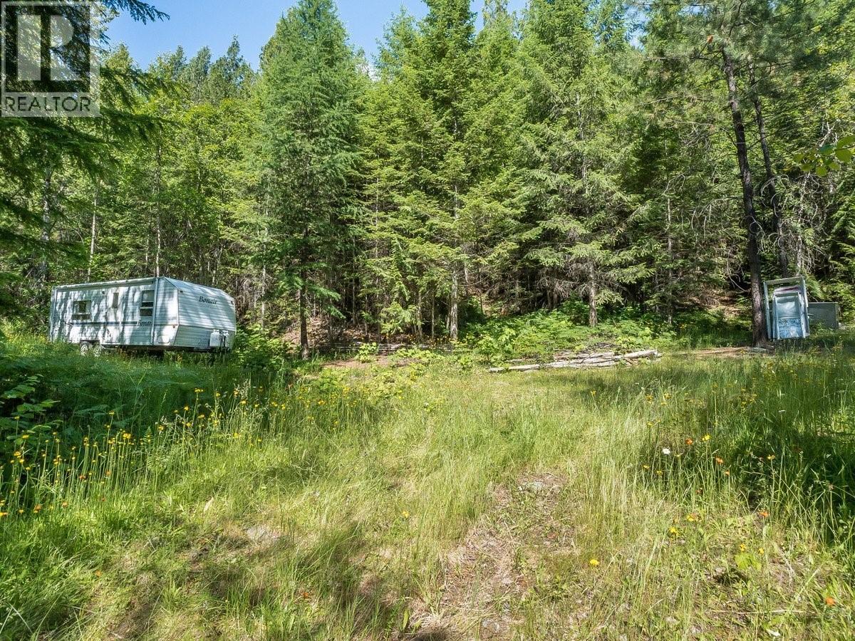 5875 Slocan River Road, Winlaw, British Columbia  V0G 2J0 - Photo 10 - 10392852