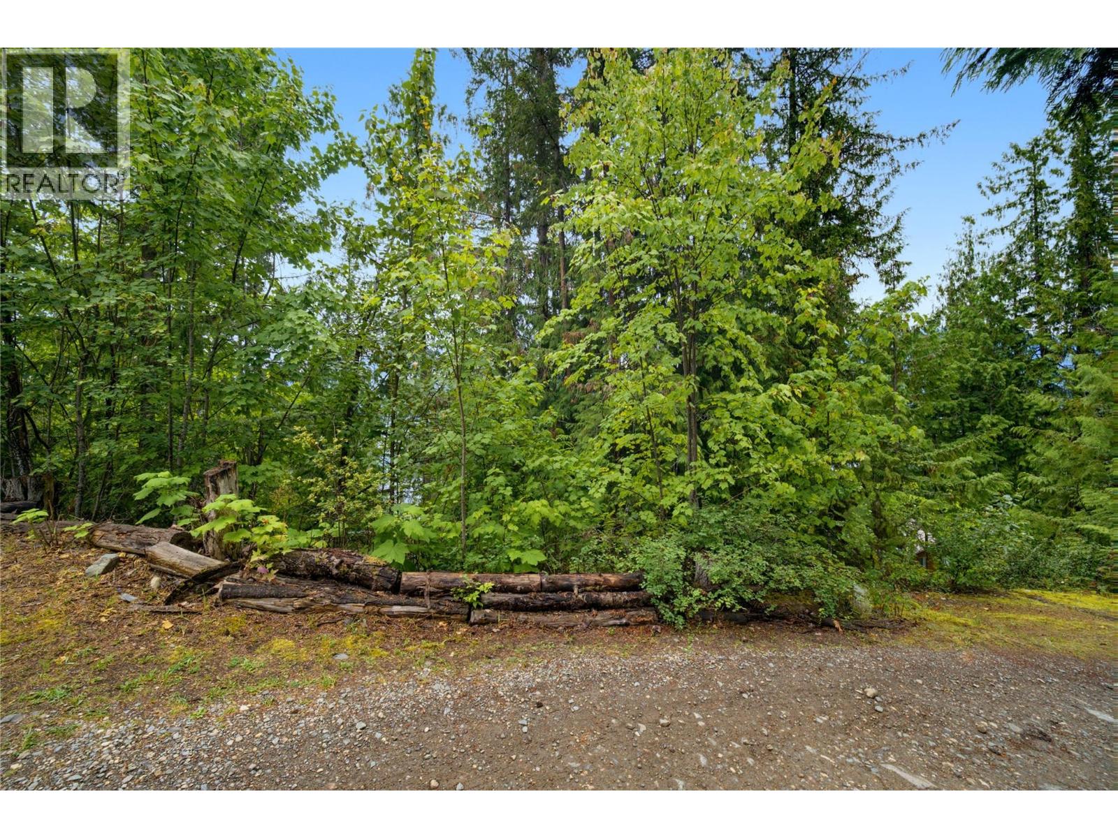 4255 Justin Road, Eagle Bay, British Columbia  V0E 1T0 - Photo 13 - 10392627