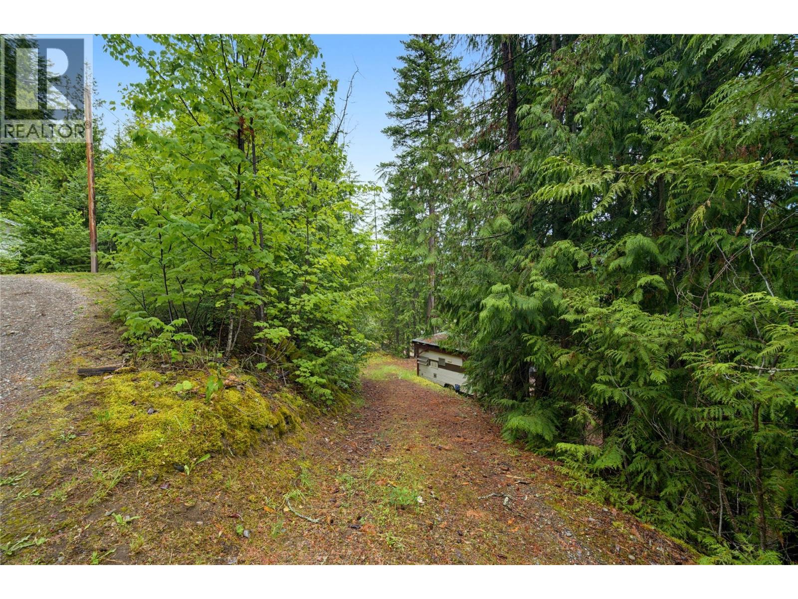 4255 Justin Road, Eagle Bay, British Columbia  V0E 1T0 - Photo 14 - 10392627