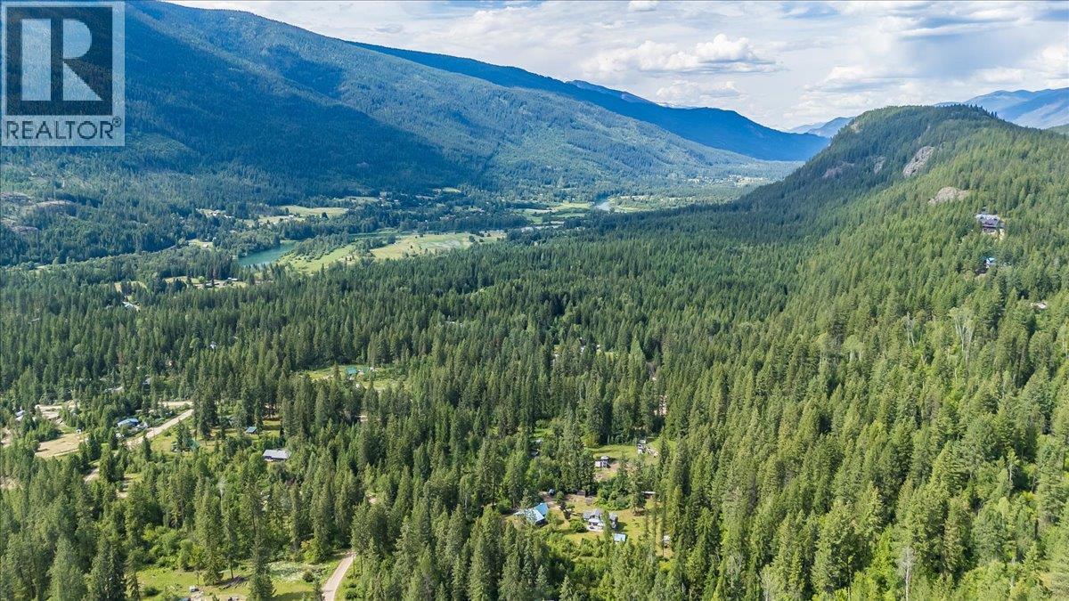 6042 Woodward Road, Winlaw, British Columbia  V0G 2G0 - Photo 55 - 10393452
