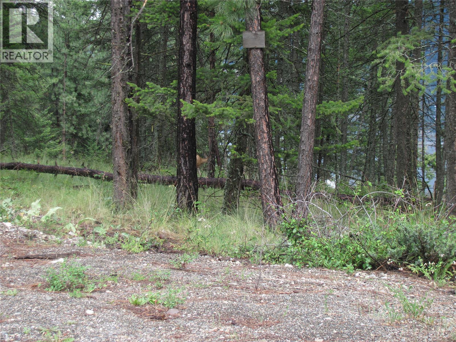 680 Fairbridge Road, Fintry, British Columbia  V1Z 3W1 - Photo 11 - 10393399