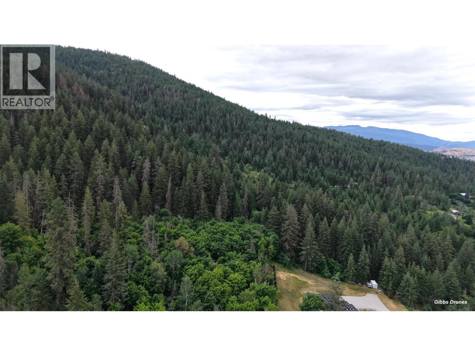 000 Hartnell Road, Vernon, British Columbia  V1B 3J5 - Photo 10 - 10393551