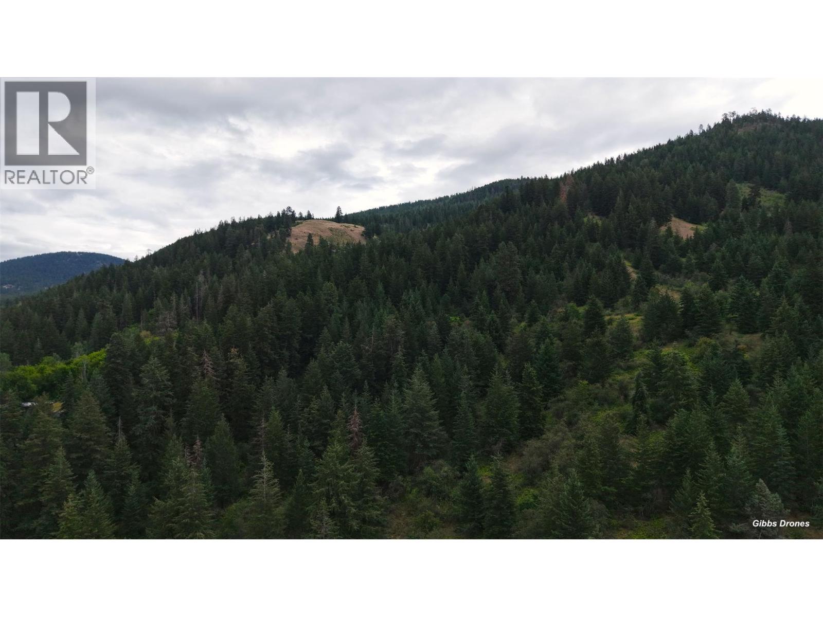 000 Hartnell Road, Vernon, British Columbia  V1B 3J5 - Photo 11 - 10393551