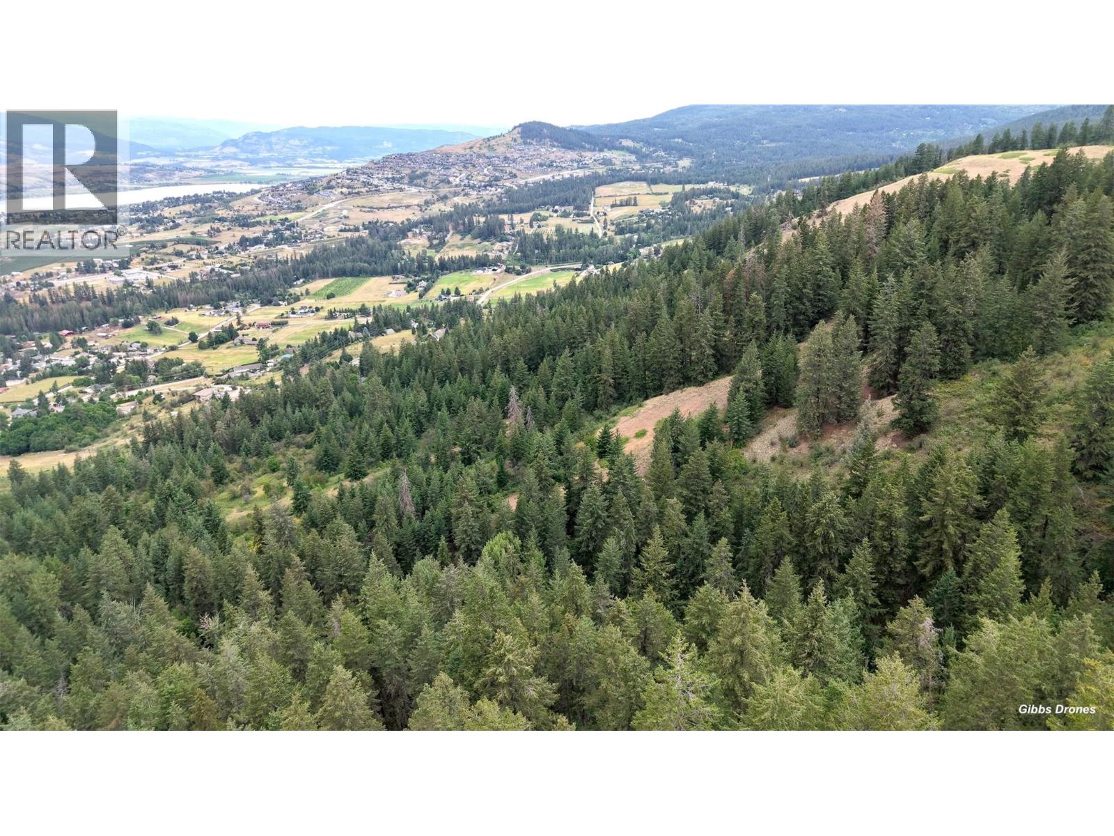 000 Hartnell Road, Vernon, British Columbia  V1B 3J5 - Photo 5 - 10393551