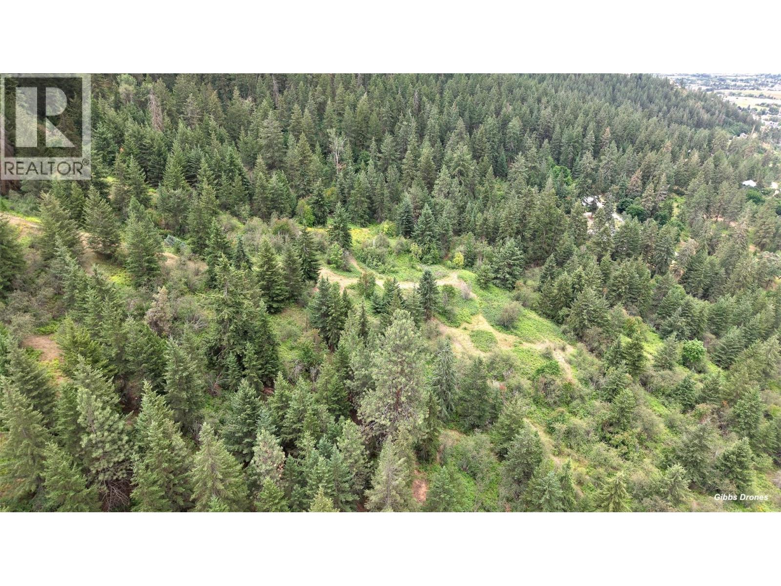 000 Hartnell Road, Vernon, British Columbia  V1B 3J5 - Photo 7 - 10393551