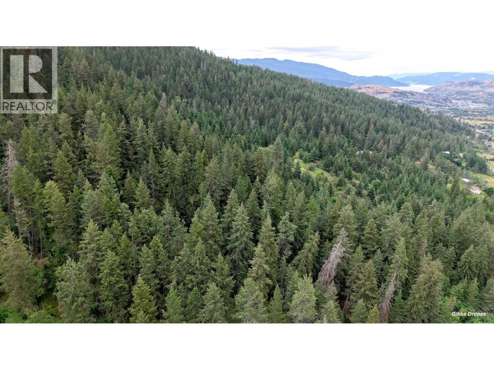 000 Hartnell Road, Vernon, British Columbia  V1B 3J5 - Photo 8 - 10393551