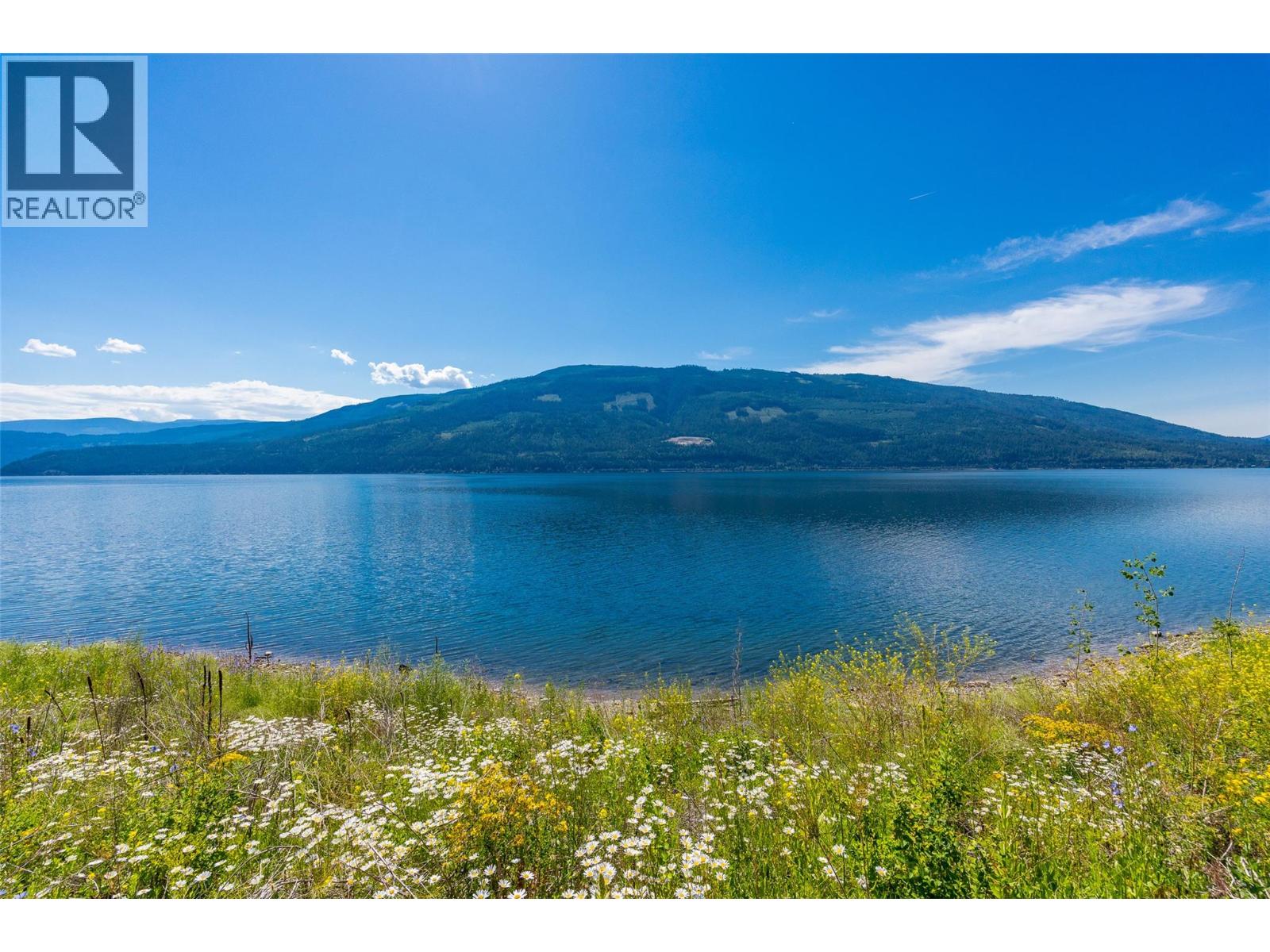 4990 Sunnybrae-Canoe Point Road Unit# 3, Tappen, British Columbia  V0E 2X1 - Photo 29 - 10393528