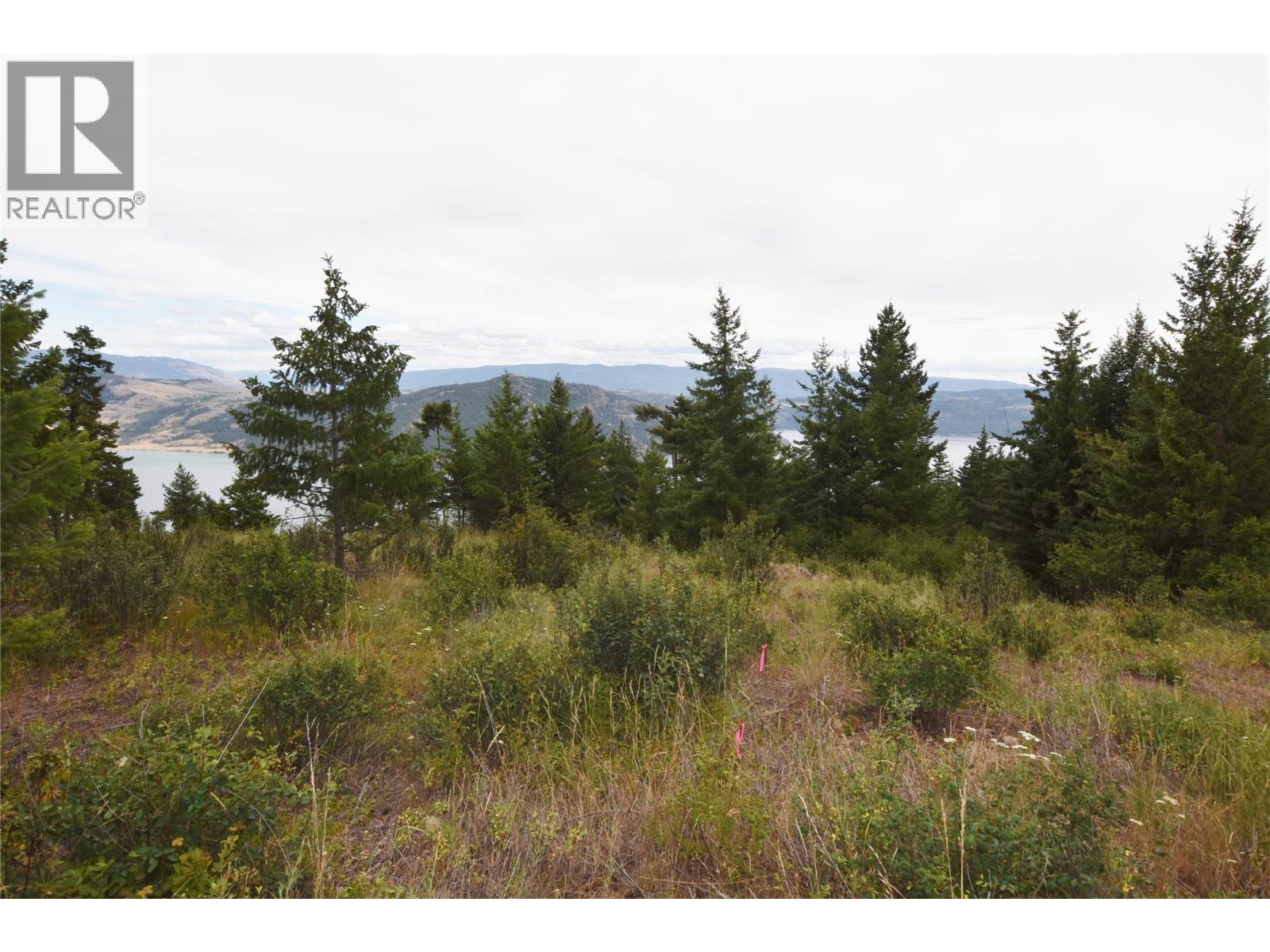 Lot 2 Nashwito Road, Vernon, British Columbia  V1H 2G7 - Photo 32 - 10393545