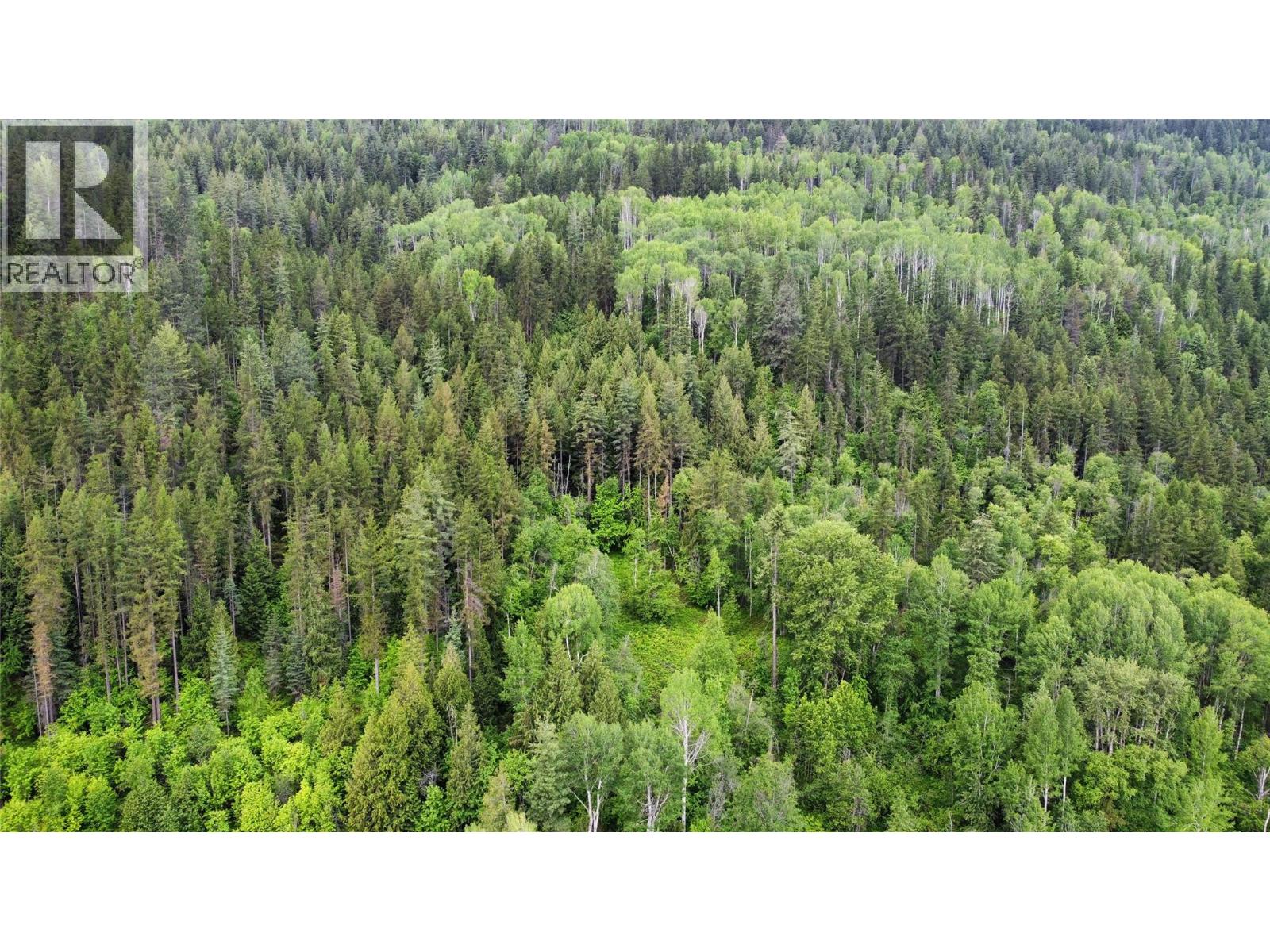 Lot 8 Arrow Lakes Drive, Castlegar, British Columbia  V1N 3N3 - Photo 1 - 10392941