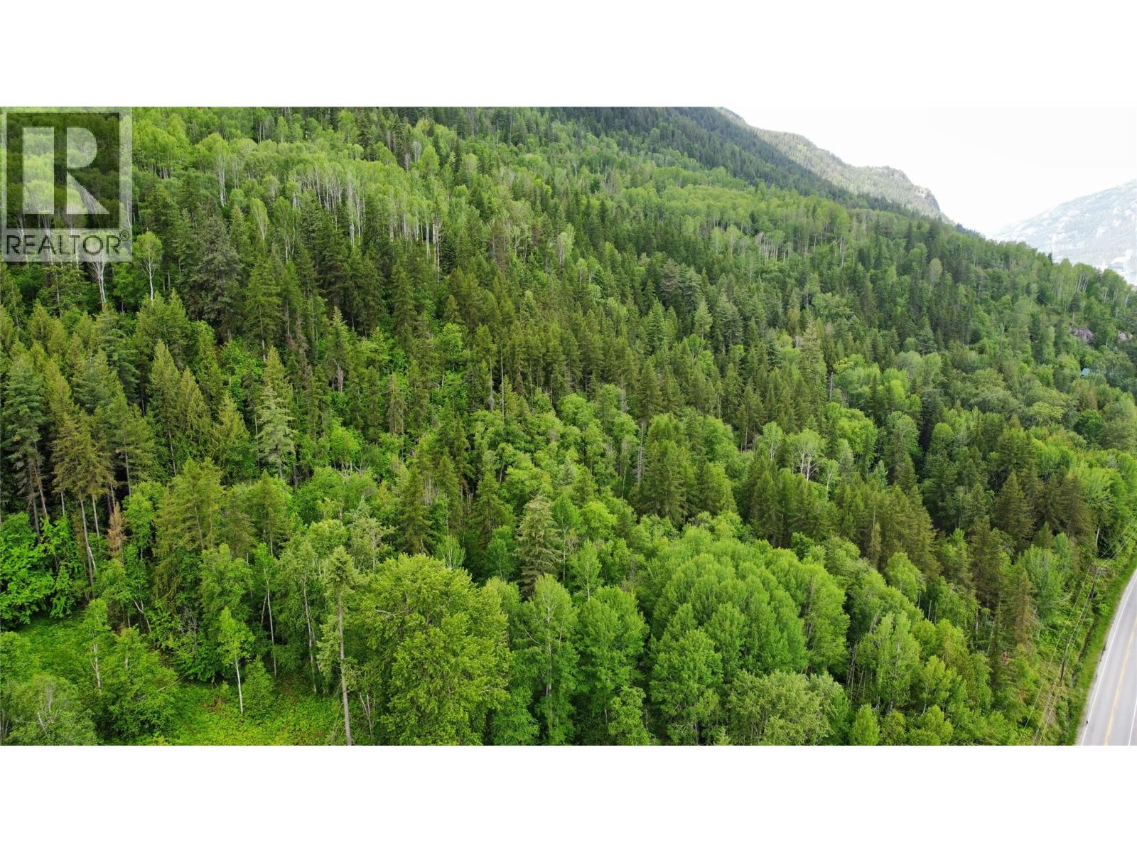 Lot 8 Arrow Lakes Drive, Castlegar, British Columbia  V1N 3N3 - Photo 3 - 10392941