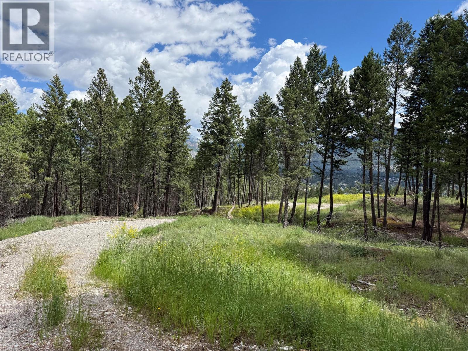 2140 22nd Street, Invermere, British Columbia  V0A 1K4 - Photo 8 - 10393682