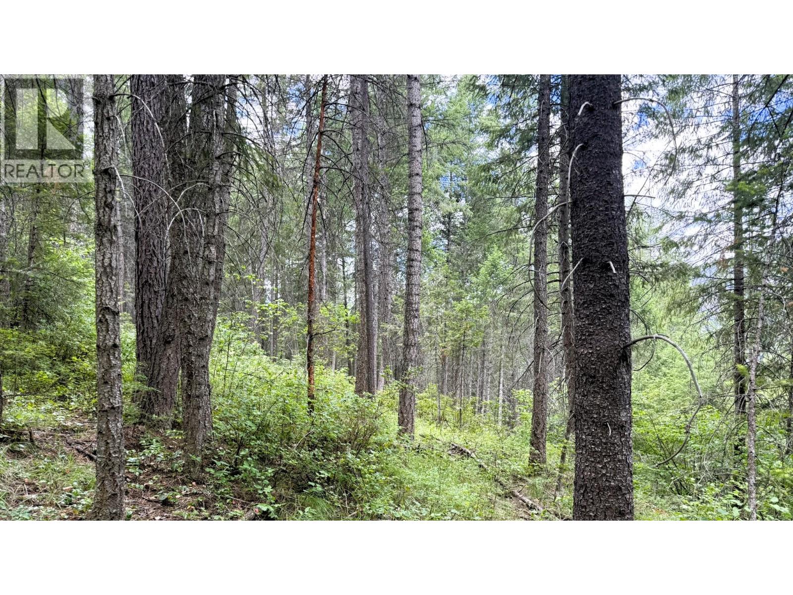 10625 Granby Road Lot# 1, Grand Forks, British Columbia  V0H 1H1 - Photo 56 - 10393683