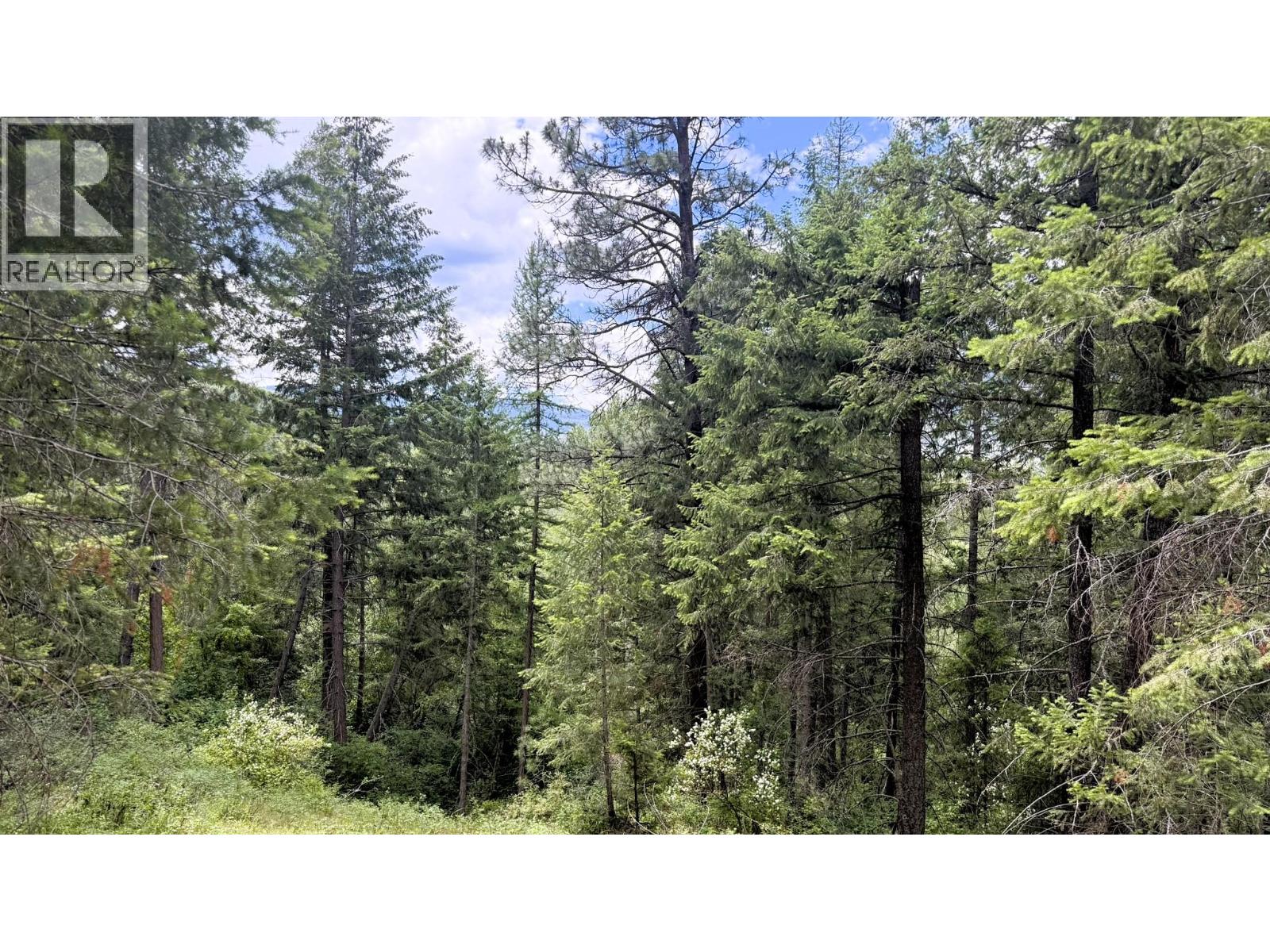 10625 Granby Road Lot# 1, Grand Forks, British Columbia  V0H 1H1 - Photo 57 - 10393683
