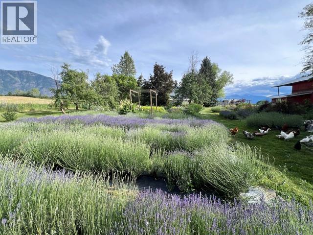 2782 20th Street, Lister, British Columbia  V0B 1G2 - Photo 22 - 10392425