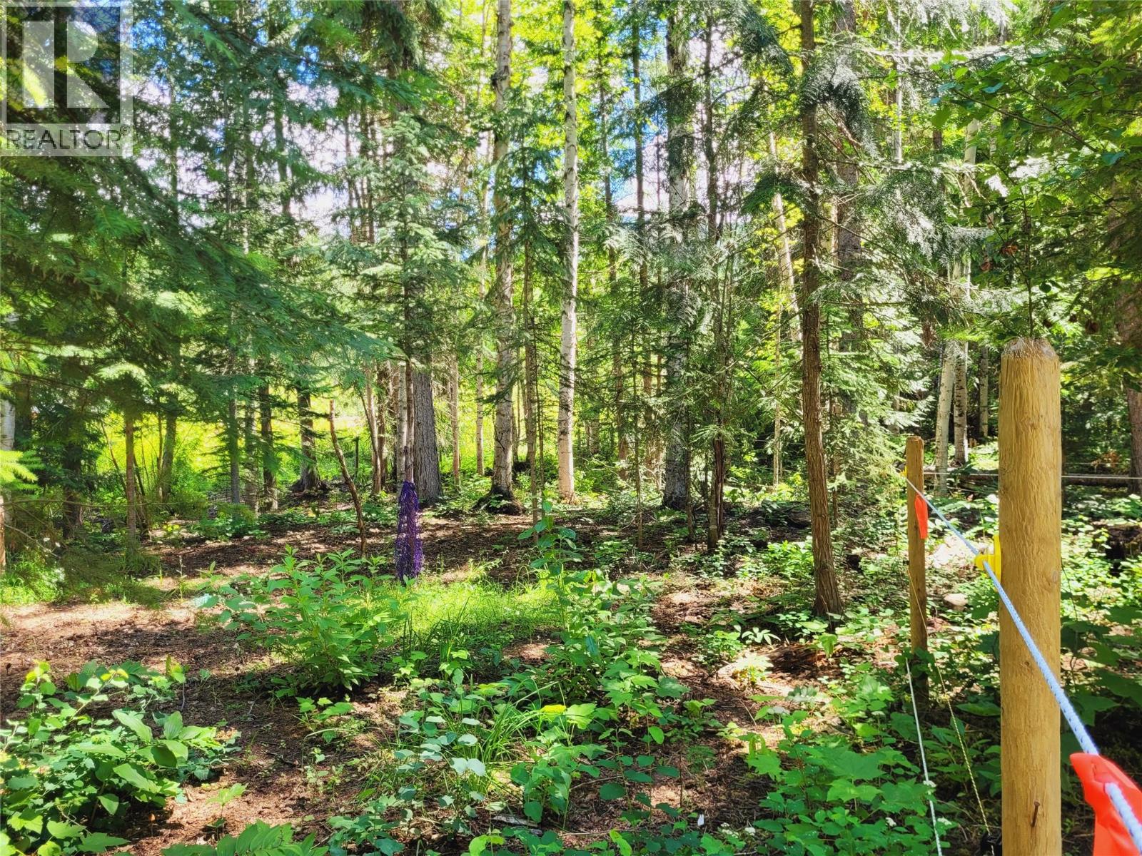 5289 Clearwater Valley Road, Clearwater, British Columbia  V0E 1N1 - Photo 70 - 10393730