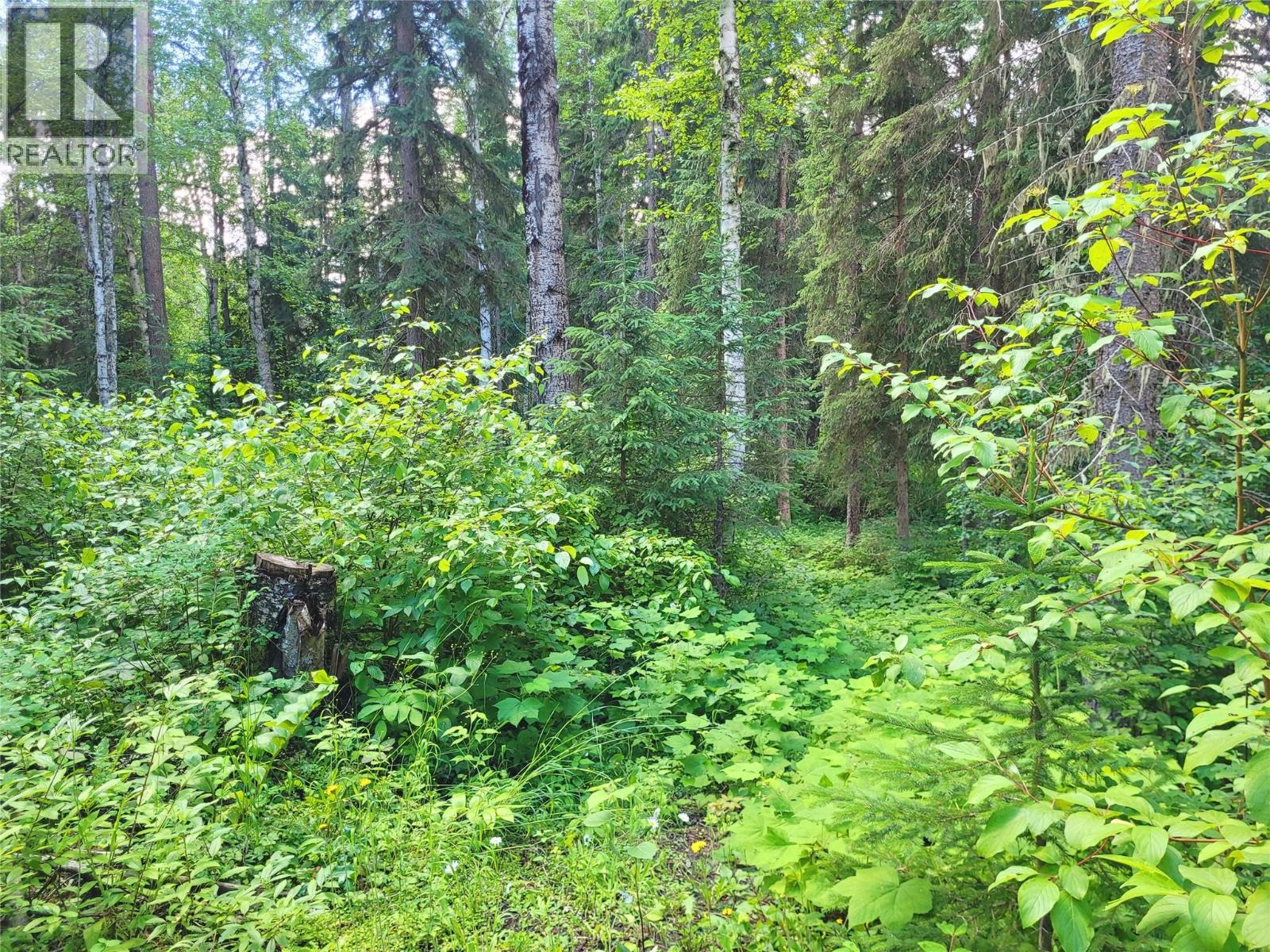 5289 Clearwater Valley Road, Clearwater, British Columbia  V0E 1N1 - Photo 72 - 10393730