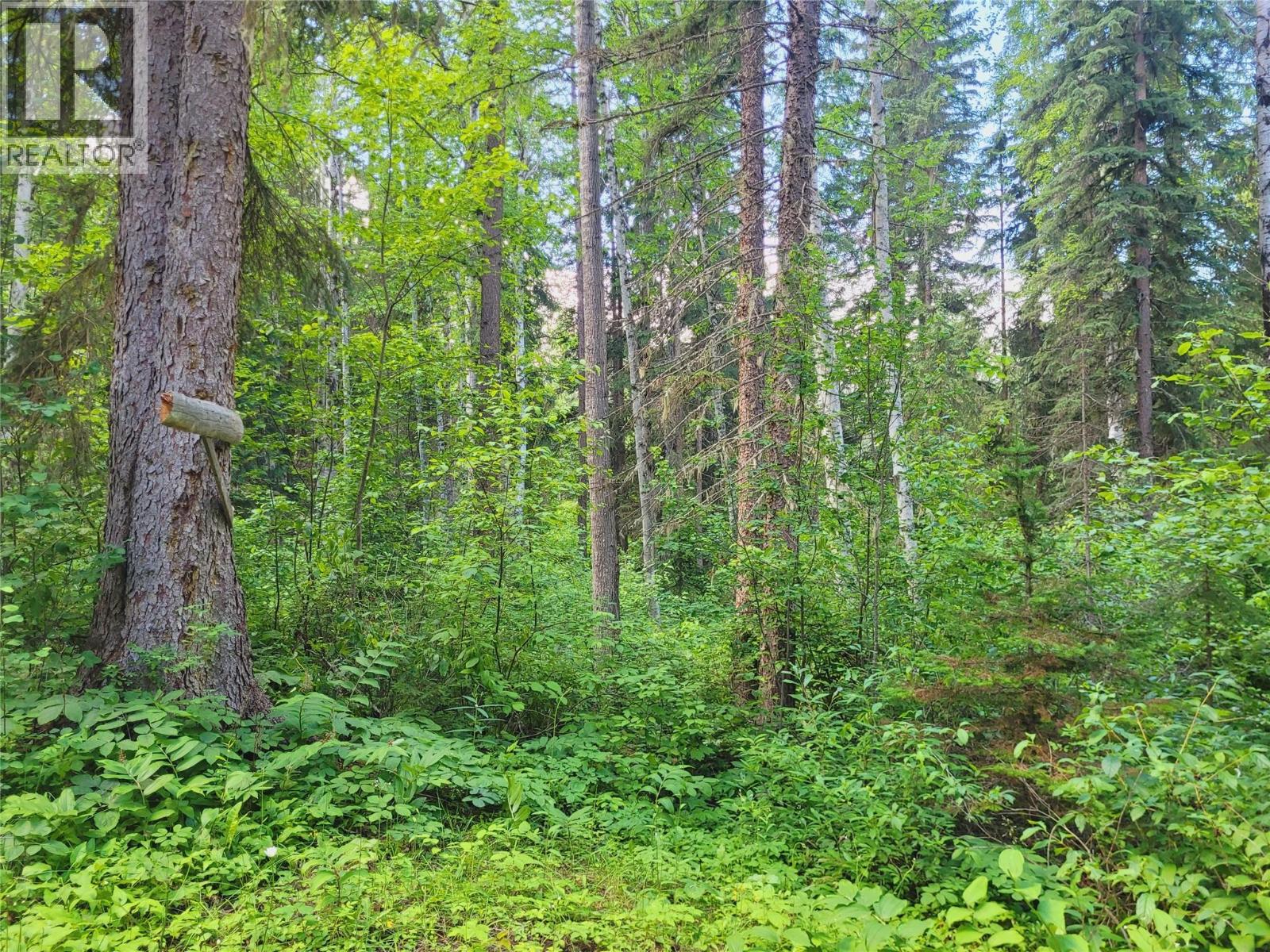 5289 Clearwater Valley Road, Clearwater, British Columbia  V0E 1N1 - Photo 73 - 10393730