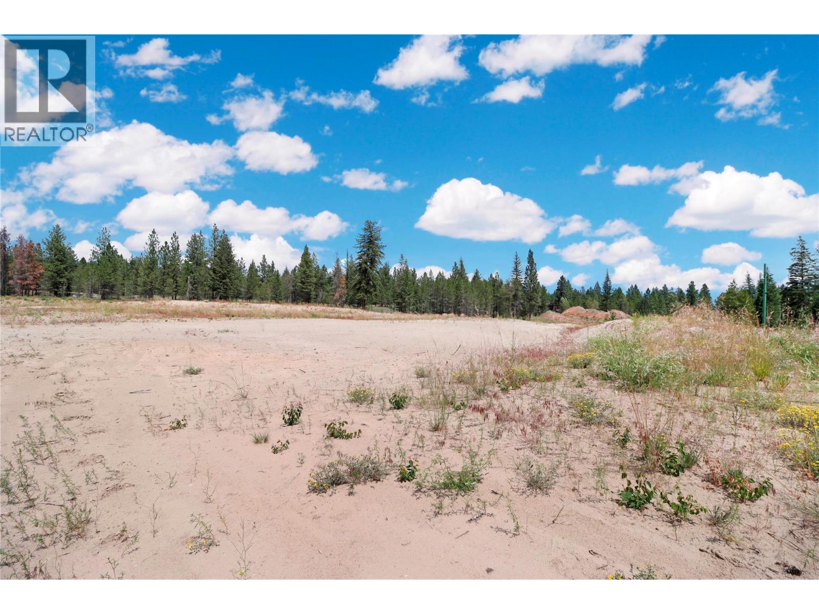 Lot 5 Parnaby Road, Cranbrook, British Columbia  V1C 0C2 - Photo 8 - 10393475