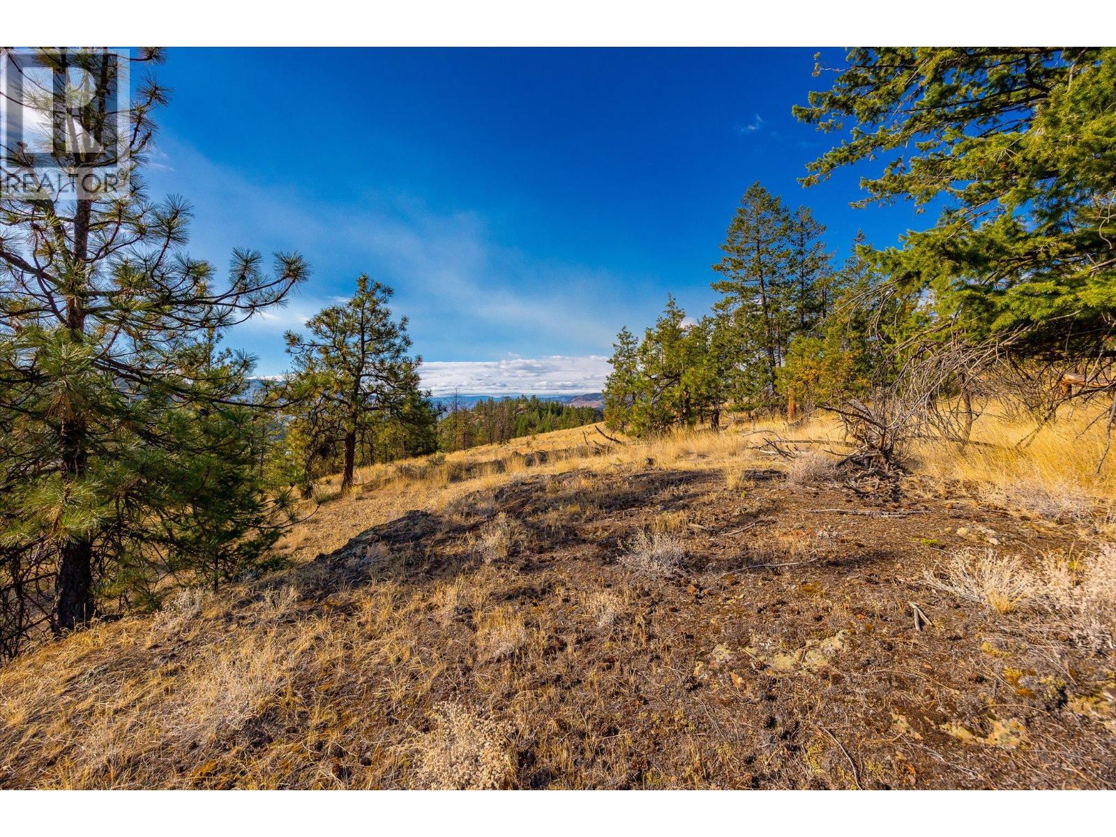 2010 Bartley Road Lot# 2, West Kelowna, British Columbia  V1Z 2M7 - Photo 17 - 10393760
