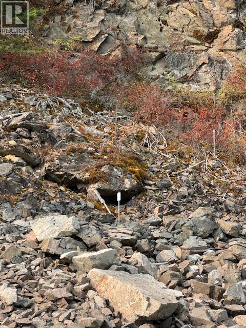 Lower Arrow Lake Lot# 5, Castlegar, British Columbia  V1N 3H9 - Photo 17 - 10393650