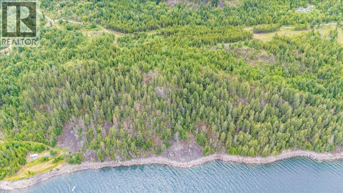 Lower Arrow Lake Lot# 5, Castlegar, British Columbia  V1N 3H9 - Photo 19 - 10393650