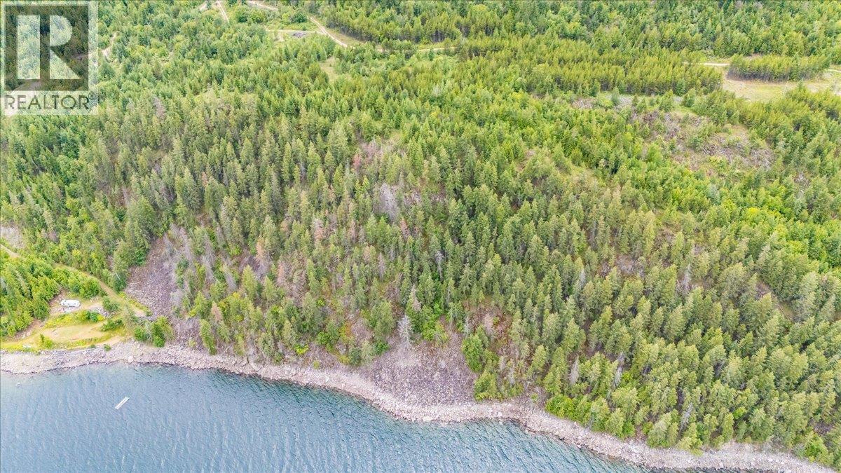 Lower Arrow Lake Lot# 5, Castlegar, British Columbia  V1N 3H9 - Photo 20 - 10393650