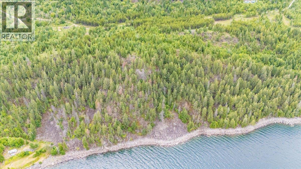 Lower Arrow Lake Lot# 5, Castlegar, British Columbia  V1N 3H9 - Photo 22 - 10393650