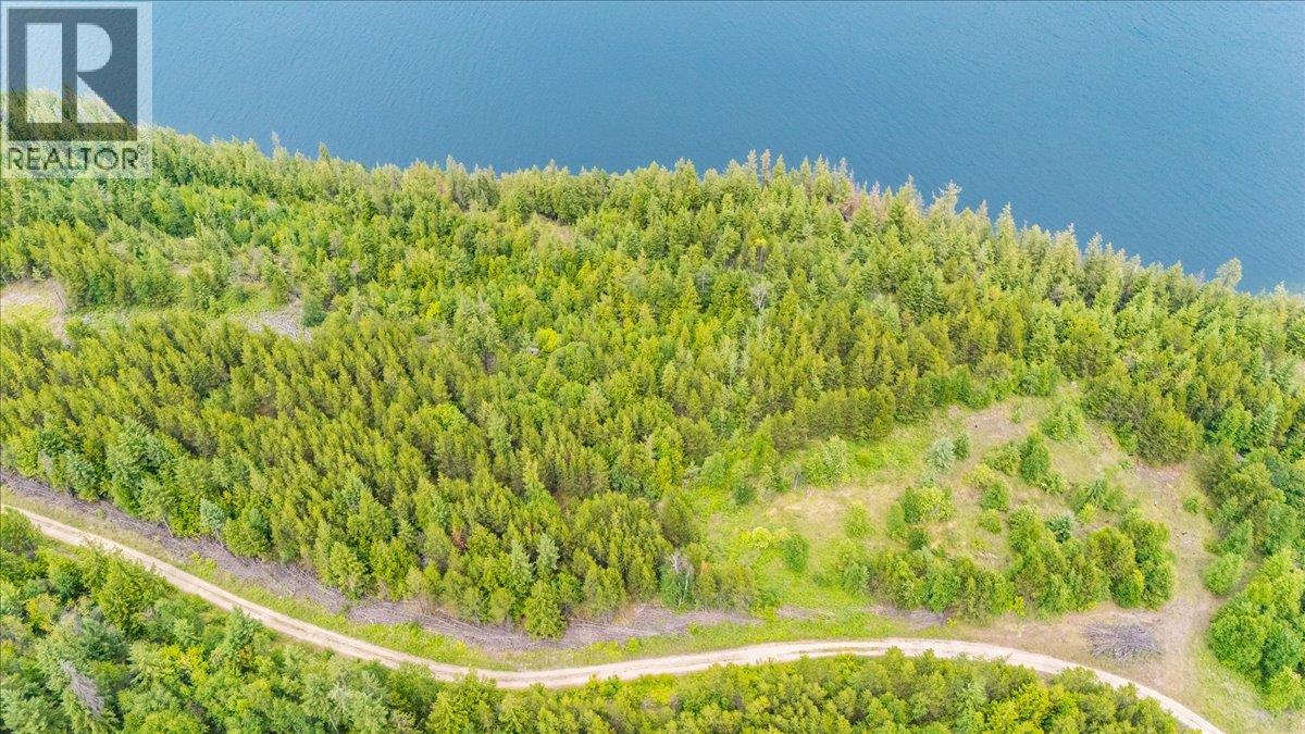 Lower Arrow Lake Lot# 5, Castlegar, British Columbia  V1N 3H9 - Photo 23 - 10393650