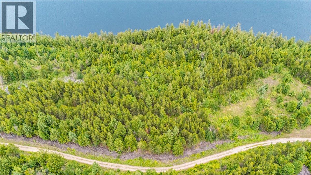 Lower Arrow Lake Lot# 5, Castlegar, British Columbia  V1N 3H9 - Photo 24 - 10393650