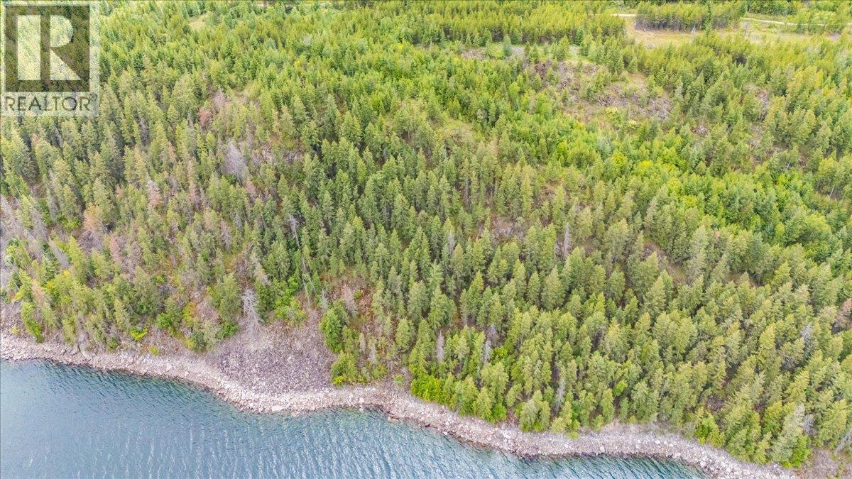 Lower Arrow Lake Lot# 5, Castlegar, British Columbia  V1N 3H9 - Photo 26 - 10393650