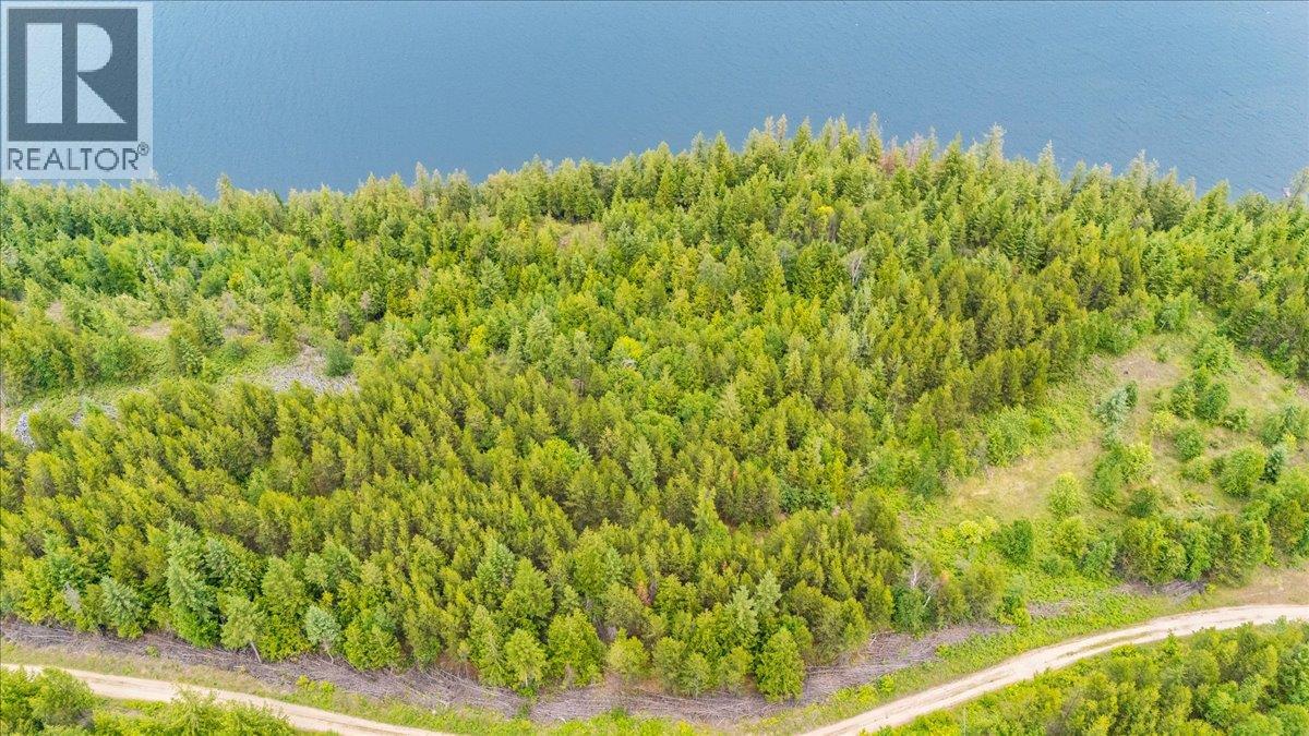 Lower Arrow Lake Lot# 5, Castlegar, British Columbia  V1N 3H9 - Photo 27 - 10393650