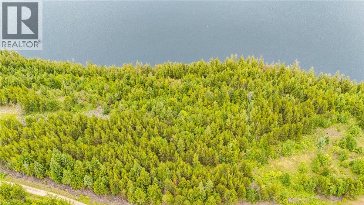 Lower Arrow Lake Lot# 5, Castlegar, British Columbia  V1N 3H9 - Photo 3 - 10393650