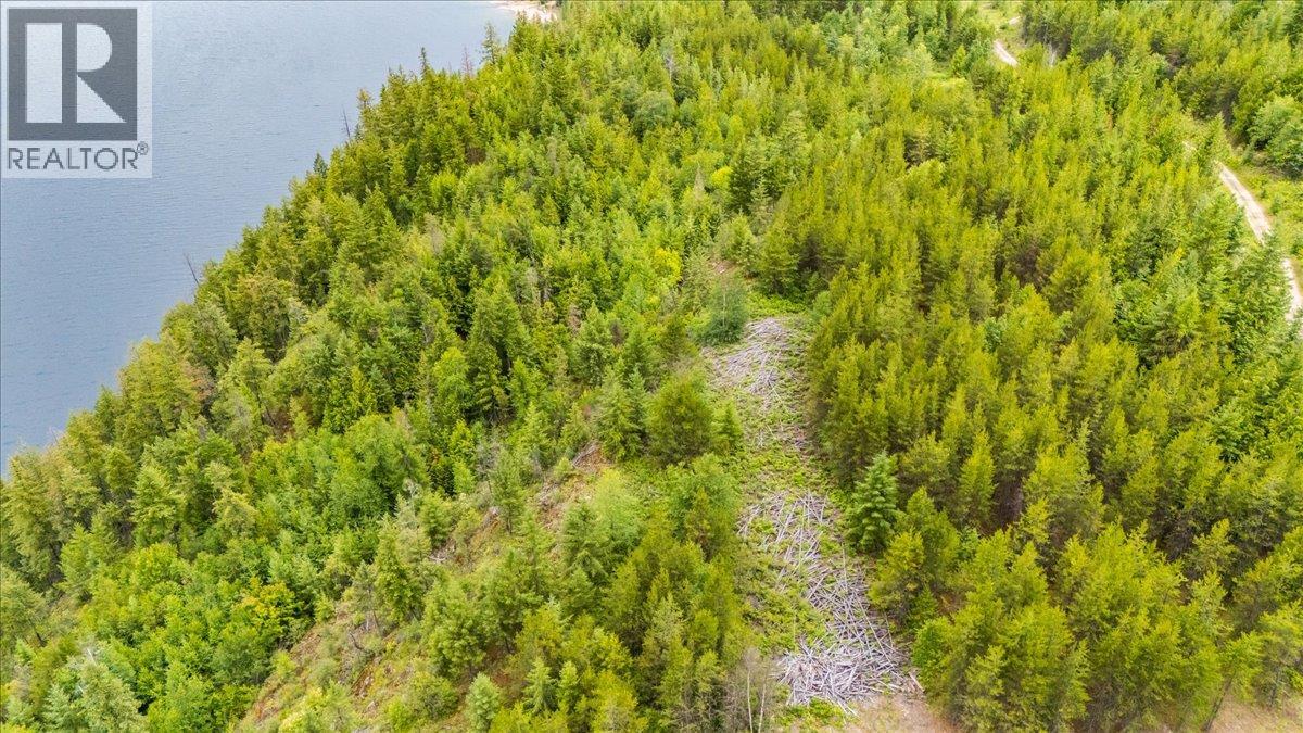 Lower Arrow Lake Lot# 5, Castlegar, British Columbia  V1N 3H9 - Photo 30 - 10393650