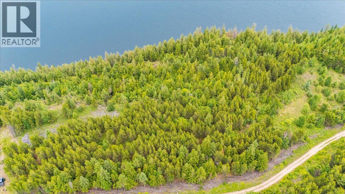 Lower Arrow Lake Lot# 5, Castlegar, British Columbia  V1N 3H9 - Photo 31 - 10393650